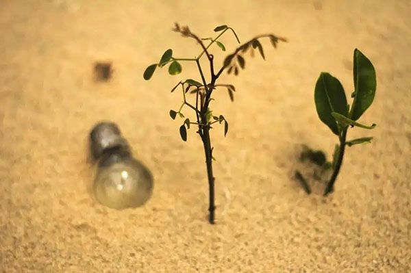 兒童沙盤心理治療你又知多少
