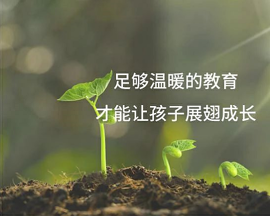 兒童自閉癥怎么辦，兒童心理咨詢沙盤游戲案例