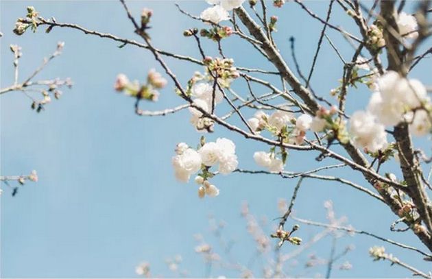 夫妻感情好不好，全藏在這件小事里！